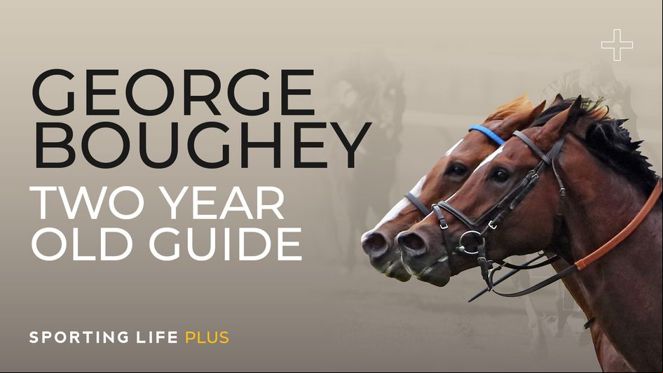Two-Year-Old Guide: George Boughey