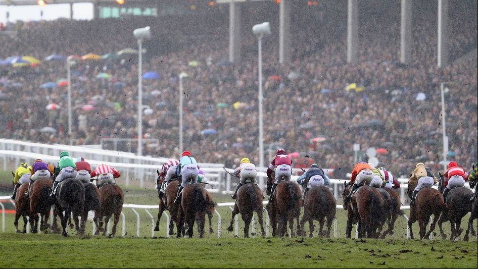 Packed stands watch the County Hurdle