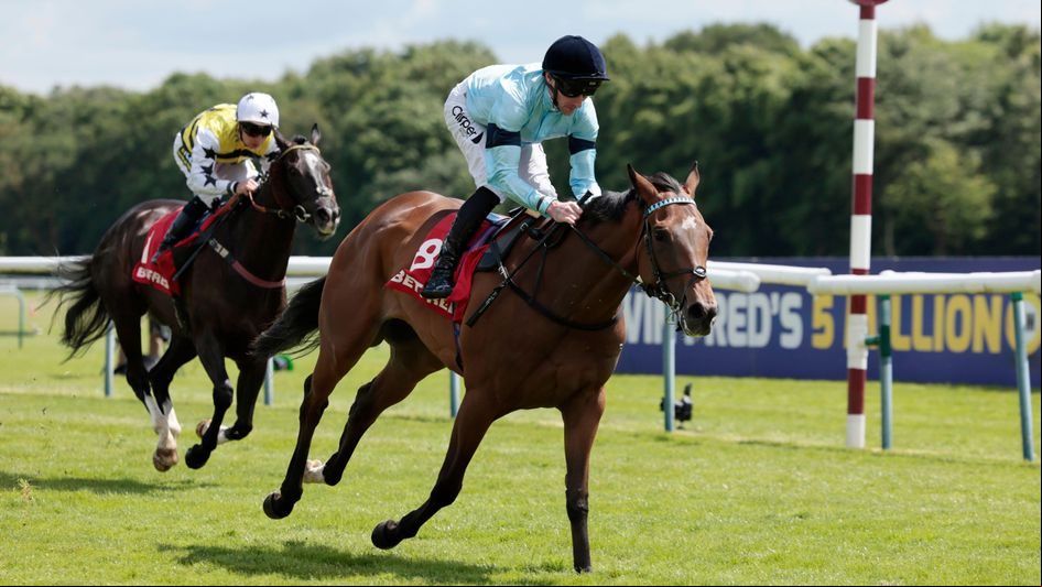 Believing wins at Haydock