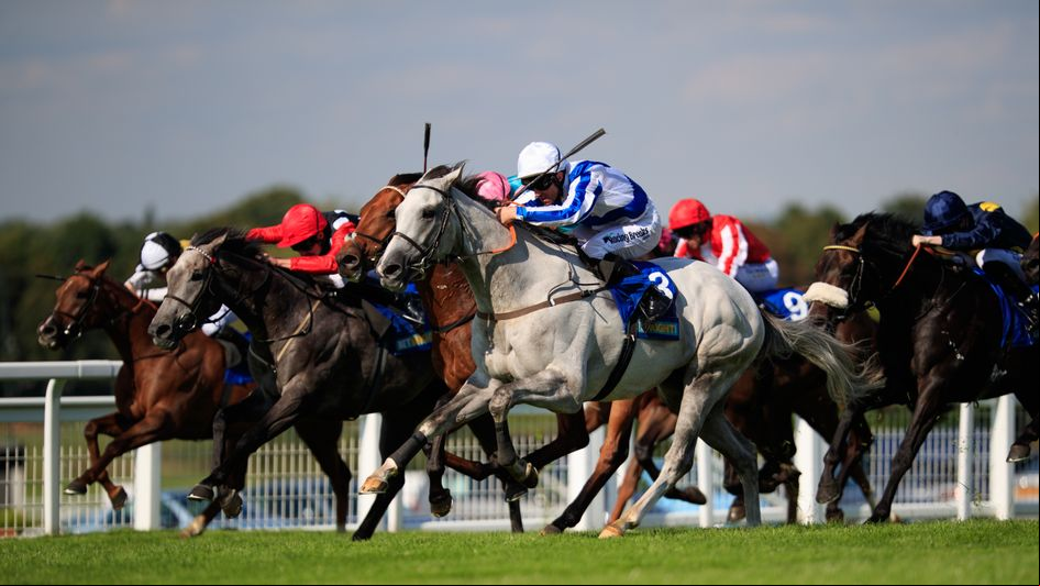 Thundering Blue (grey) on the way to victory at Sandown