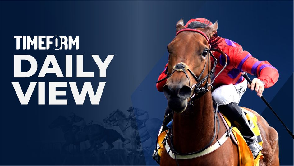 Check out the new Timeform Daily View