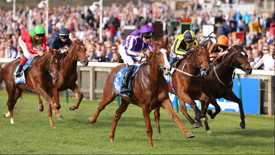 Norway lands the Zetland Stakes in decisive fashion
