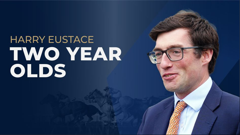 Harry Eustace Two-Year-Old Guide