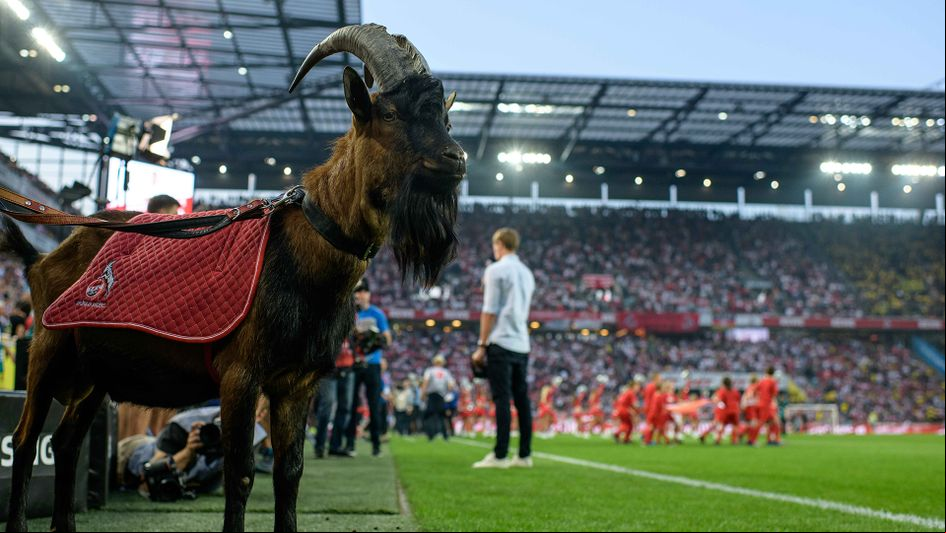 Hennes won't be present at Koln's games