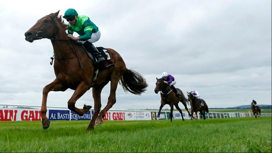 Whistlejacket books his Royal Ascot ticket