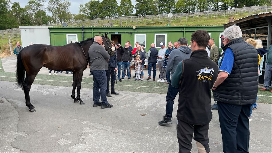 of the Club check out the horses at Musley Bank