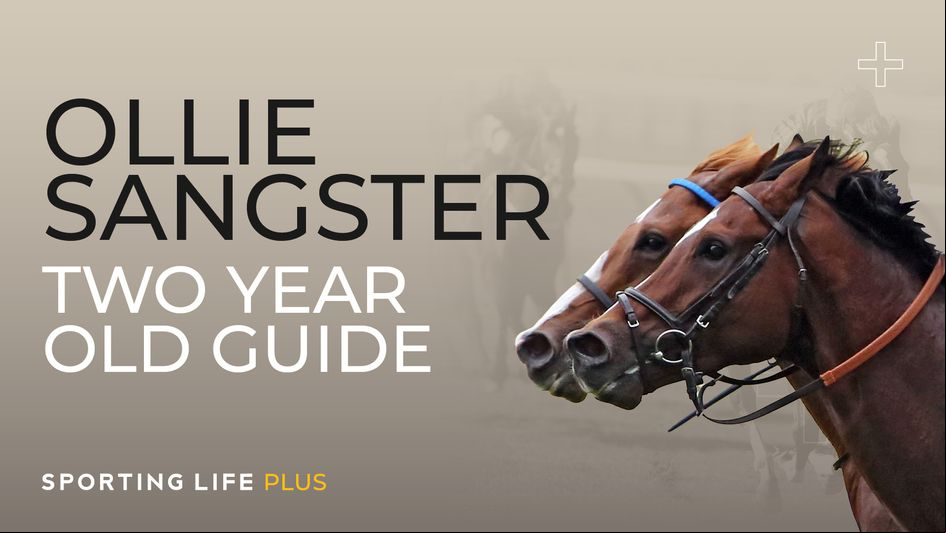 Dan Briden Two-Year-Old Guide - Ollie Sangster