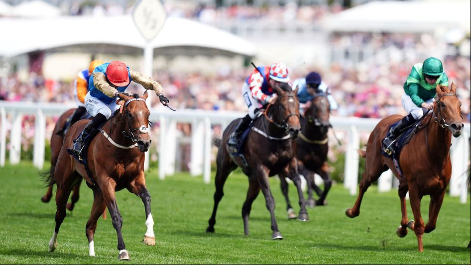 Shareholder (left) wins the Norfolk under James Doyle