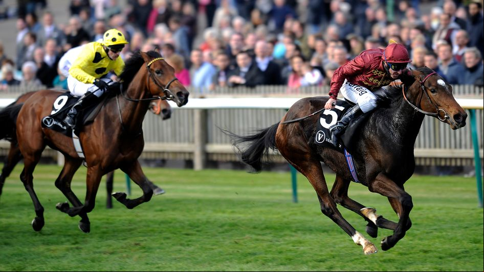 Just The Judge in winning action