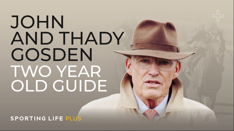 John & Thady Gosden Two-Year-Old Guide