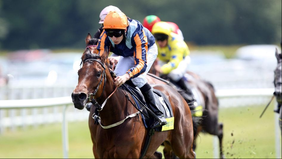Perfect Tribute in winning action