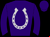 Horse silk