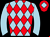 Horse silk