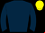 Horse silk