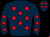 Horse silk