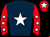Horse silk