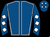 Horse silk