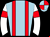 Horse silk