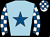 Horse silk
