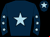 Horse silk