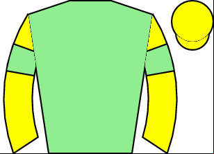 Horse silk