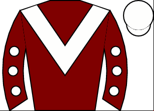 Horse silk