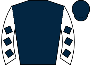 Horse silk