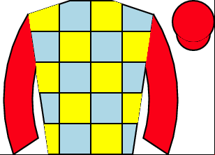 Horse silk