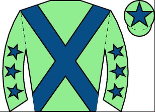 Horse silk