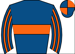 Horse silk