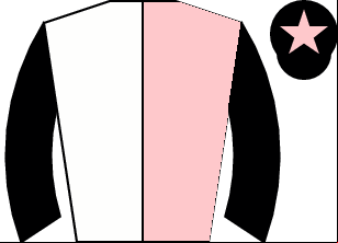 Horse silk