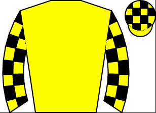 Horse silk