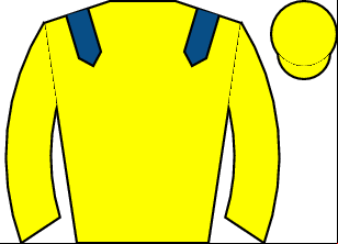 Horse silk