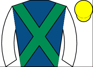 Horse silk