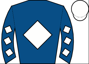 Horse silk