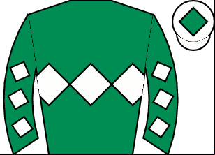 Horse silk