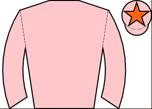 Horse silk