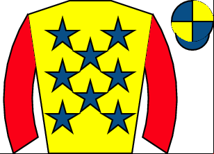 Horse silk