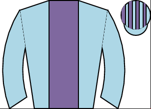 Horse silk