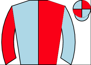 Horse silk