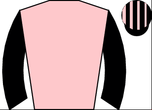 Horse silk