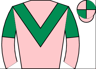 Horse silk