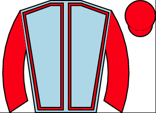 Horse silk