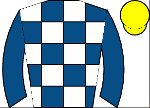 Horse silk