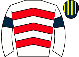 Horse silk