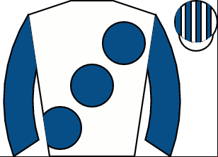 Horse silk