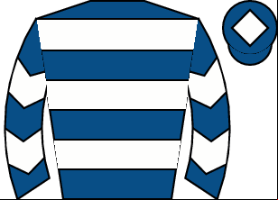 Horse silk