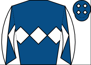 Horse silk