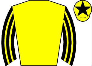 Horse silk
