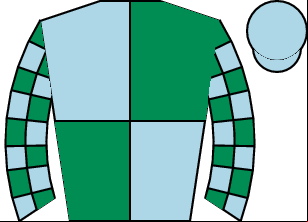 Horse silk
